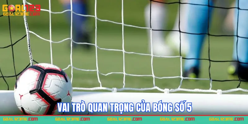 Vai trò và tầm quan trọng của bóng số 5
