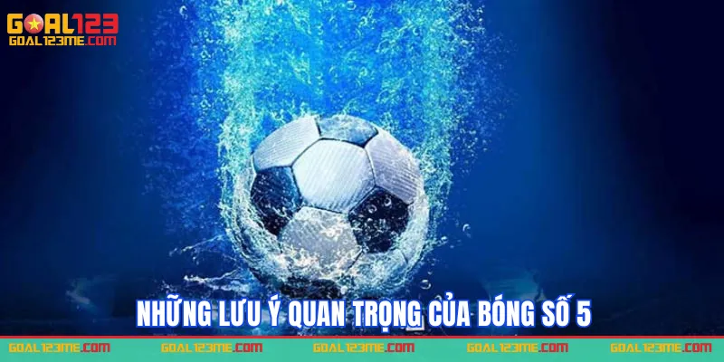 Những lưu ý khi sử dụng và bảo quản bóng số 5