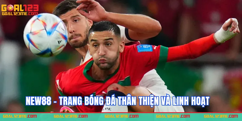 New88 - Trang bóng đá thân thiện và linh hoạt